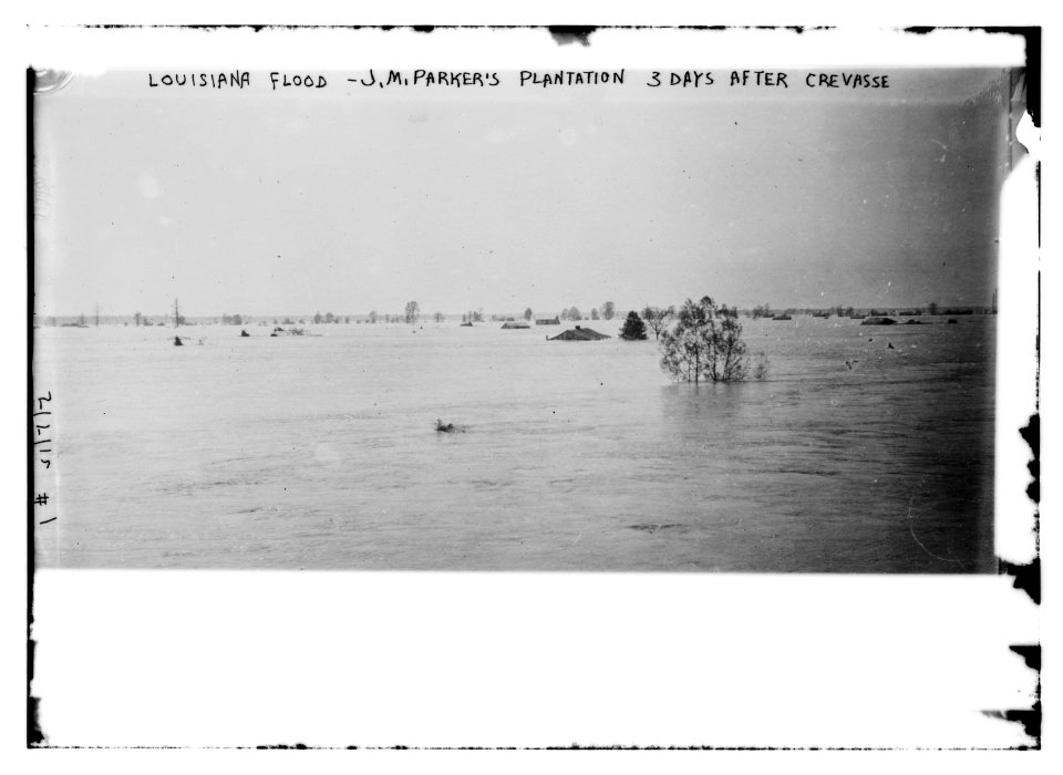 Louisiana Flood - J.M. Parker's plantation three days after crevasse LCCN2014690494
