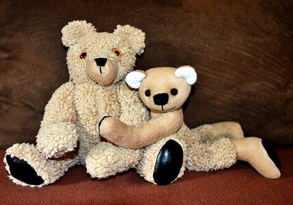 Sweet soft toy cute photo