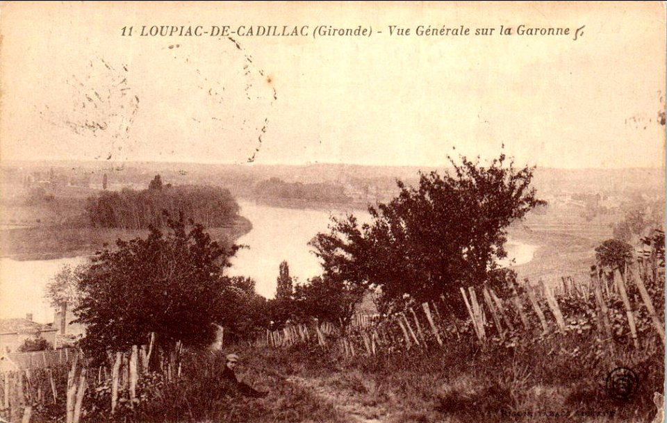 Loupiac - vue sur la Garonne