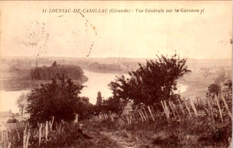 Loupiac - vue sur la Garonne