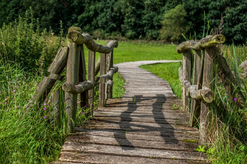Wooden bridge moor boardwalk