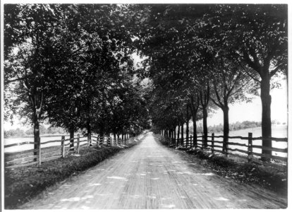 Lover's Lane, Cornwall, Pa. - a typical road LCCN2012649620
