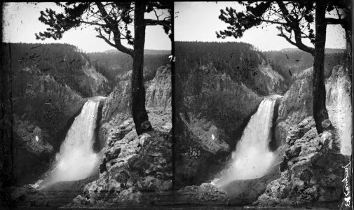 Lower Yellowstone Falls. Yellowstone National Park - NARA - 517304