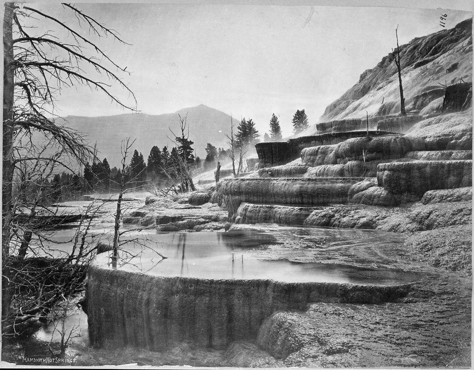 Lower portion of Jupiter Terrace. Bunson's Peak in distance. Yellowstone National Park - NARA - 517639