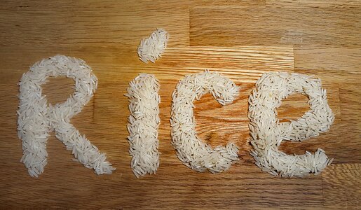 Eat grain of rice word