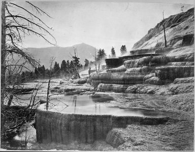 Lower portion of Jupiter Terrace. Bunson's Peak in distance. Yellowstone National Park - NARA - 517639