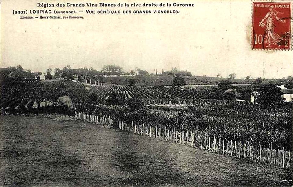 Loupiac - vue générale 1