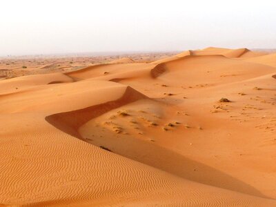 Desert sand dune