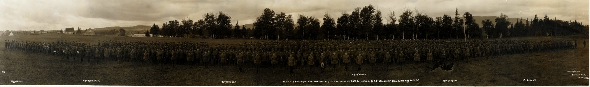 Lt.-Col. F.A. Gascoigne and officers, NCO's and men of 60th Battalion, CEF, Valcartier Camp, Aug. 26th, 1915. Signallers, companies 'A', 'B', 'C', 'D', 'E'. No. 11 (HS85-10-30759) photo
