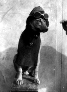 LT Zean R. Strope Collection (23858582832)