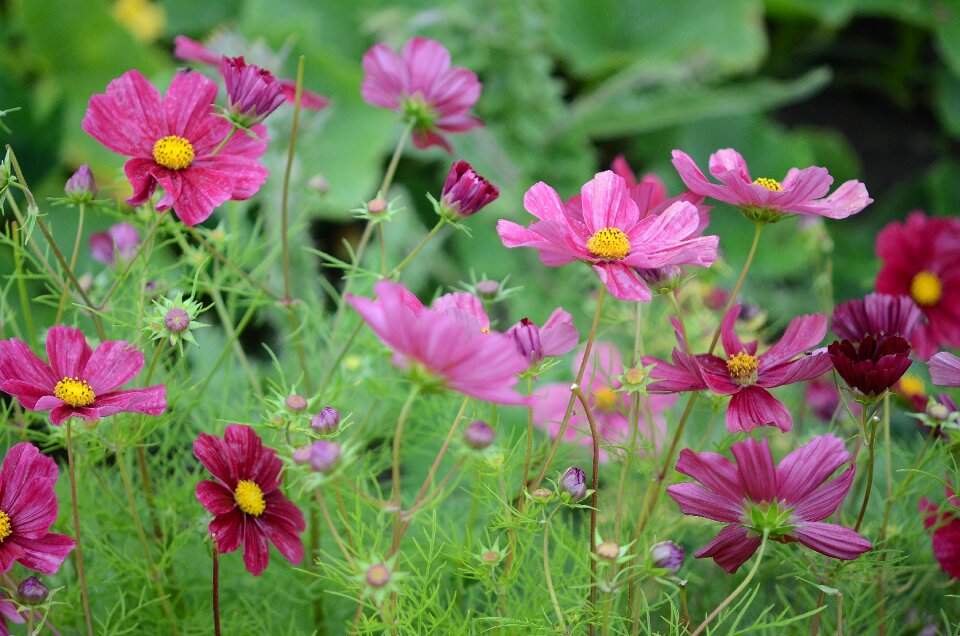 Floral summer natural