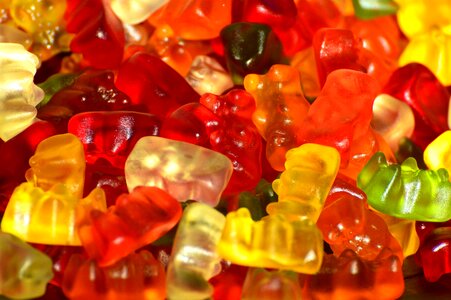 Nibble sweet gelatin