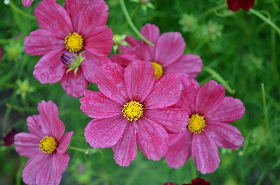 Floral summer natural
