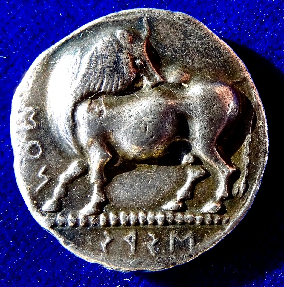 Lucania (southern Italy), Ionian colony Siris, Tetradrachm about 520 B.C. Original creation by Carl Wilhelm Becker.Ag, obverse