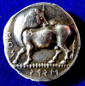 Lucania (southern Italy), Ionian colony Siris, Tetradrachm about 520 B.C. Original creation by Carl Wilhelm Becker.Ag, obverse
