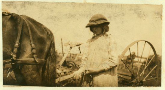 Lucy Saunders hitching the team to the horse rake. See Hine Report, Rural Child Labor, August 1915. LOC cph.3a19625