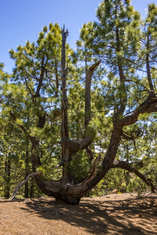 Spain landscape nature photo