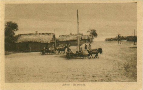 Lubiaź. Любязь (1917) (4)