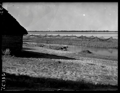 Lubiaź. Любязь (S. Bochnig, 1929)