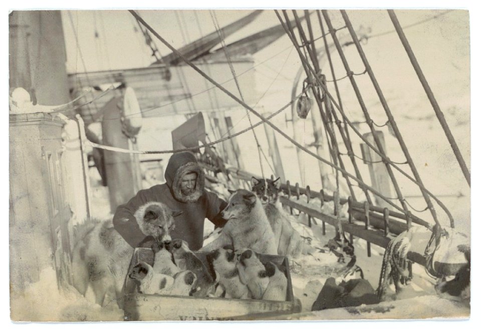Ludvig Mylius-Erichsen with his dogs