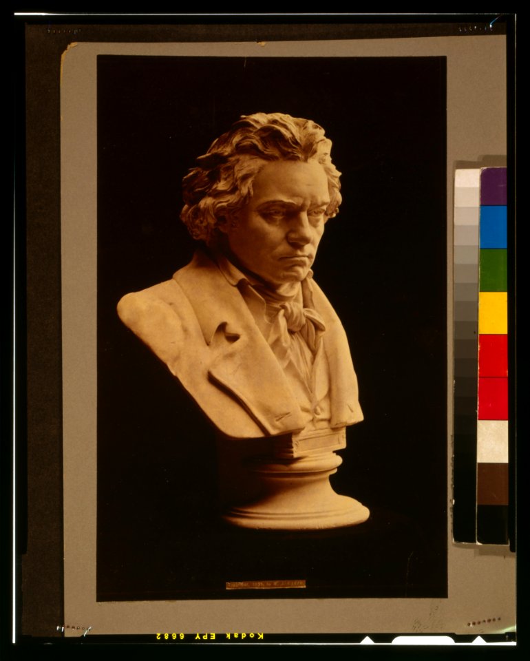 Ludwig van Beethoven - studied from the death mask (i.e. life mask) LCCN2001700485