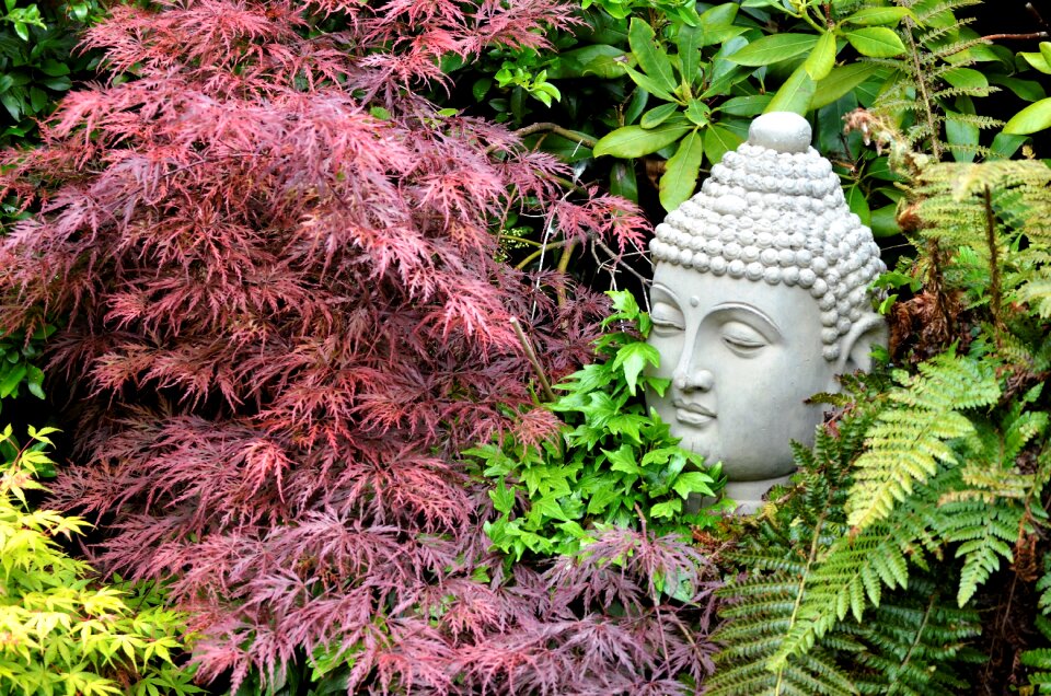 Season park garden