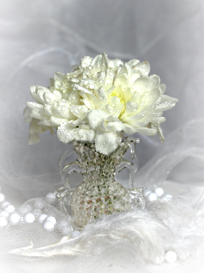 White vase beads