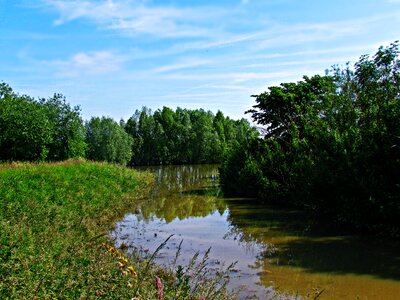 After the rain nature landscape