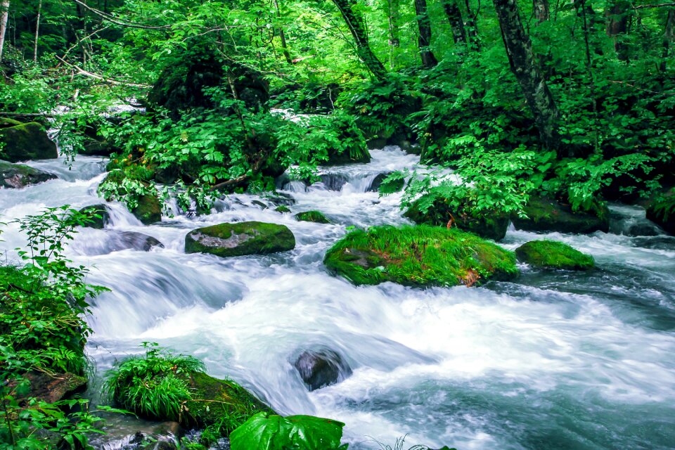 Torrent green natural
