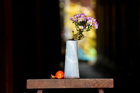 Furukawa flowers soon winter