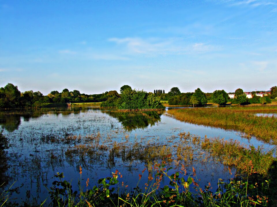 After the rain nature landscape