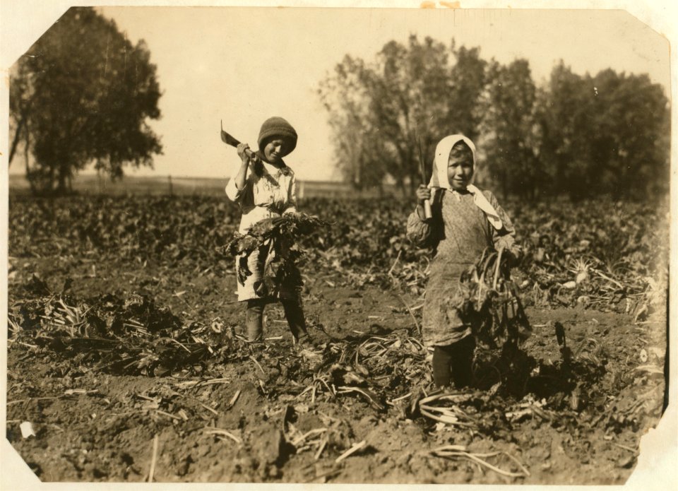 Luft family, farm near Sterling. Mother, 9 yr. old Amelia, and 12 yr. old Mary working while father hauls the beets to factory. 'Amelia she not work all time, she wash dishes and tend baby.' LOC nclc.00355