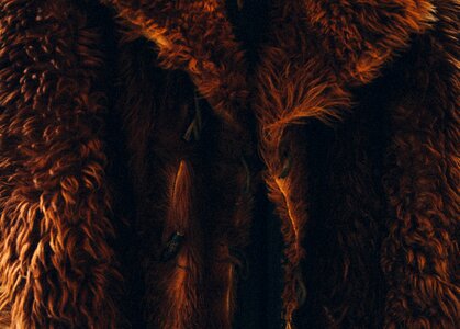 Fur hair clothing