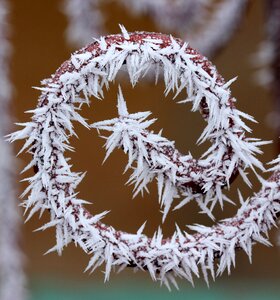 Frozen rime white