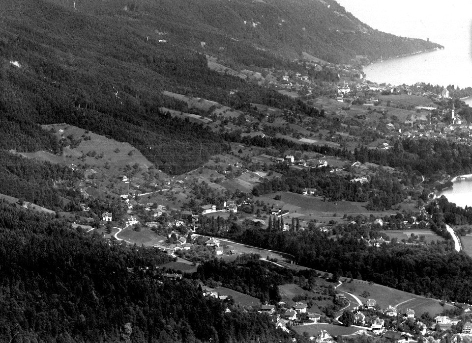 Luftaufnahme des rechten Thunerseeufers mit Oberhofen - CH-BAR - 3241381