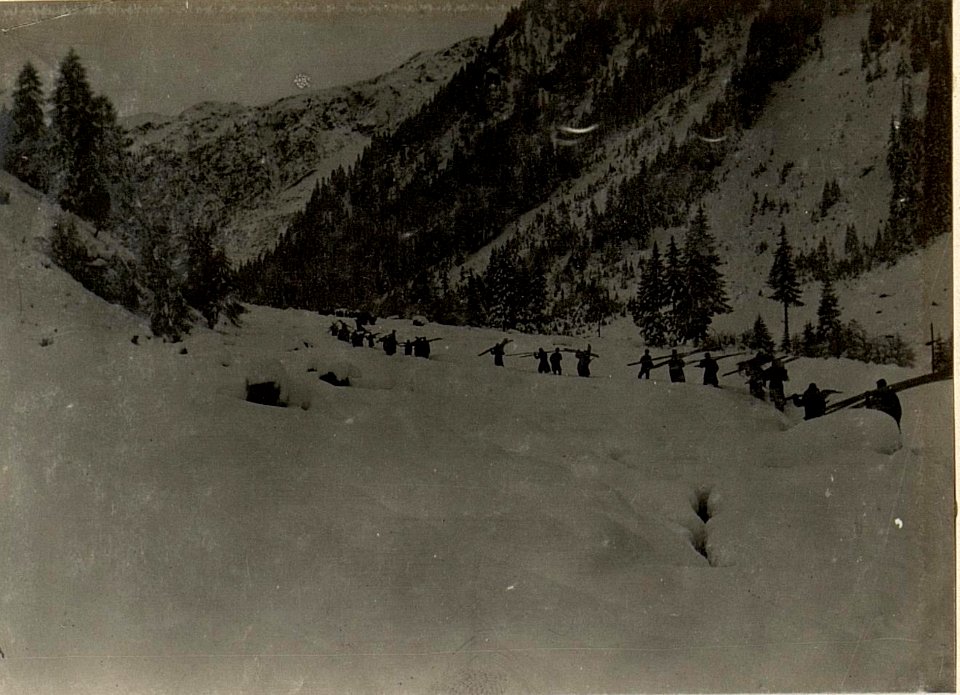 Luggauer Alm. Brettertransport der kriegsgefangenen Russen. (BildID 15471933)