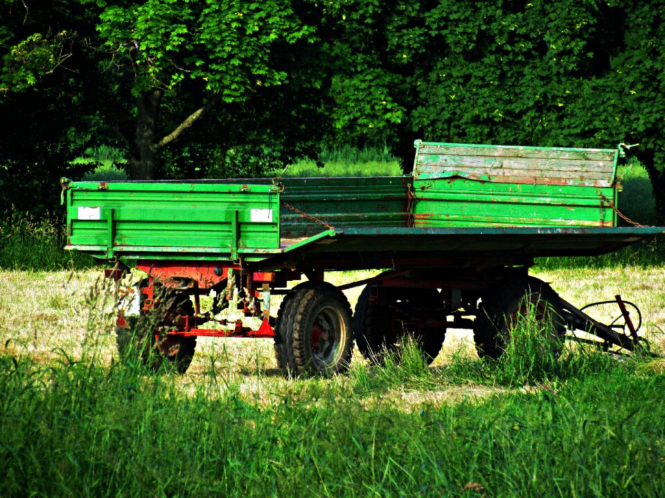 Field grass village