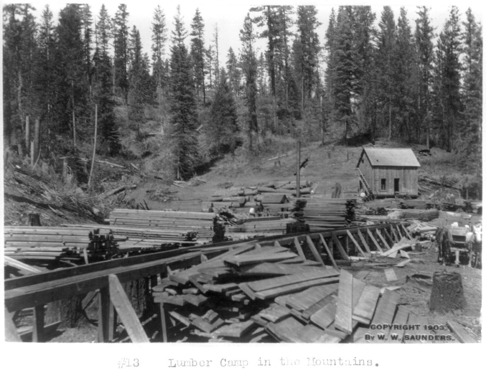 Lumber camp in the mountains, Western Idaho LCCN2006679193