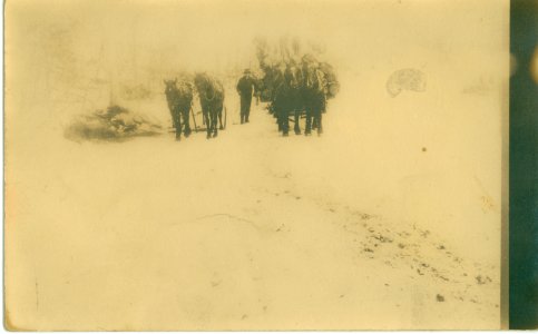 Lumber Transport by Horse