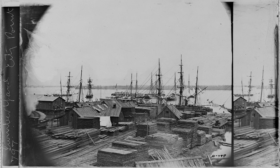 Lumber Yard, City Point, Va - NARA - 525202