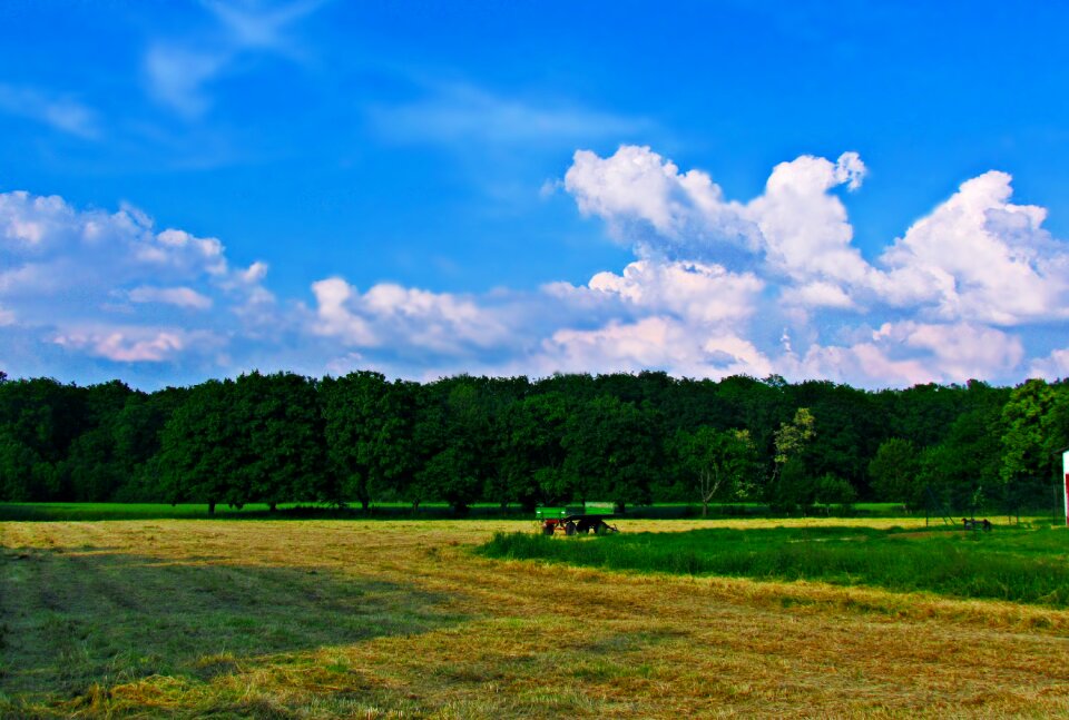 Field grass village