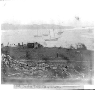 Lumber Vessels at Mendocino LCCN2002717161