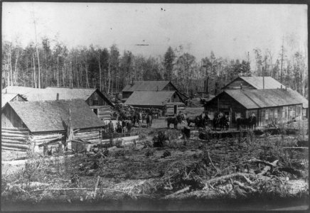 Lumbering camp in Michigan LCCN2002699477