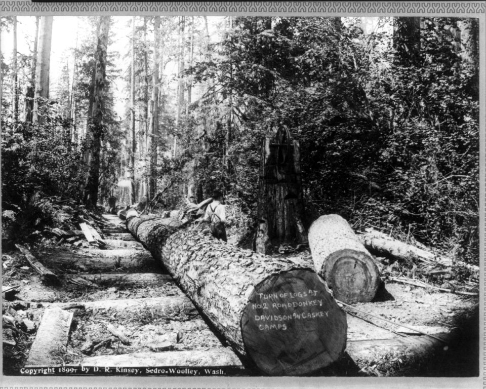 Lumbering in the Cascade Mountains, near Seattle, Wash.- (Turn of logs at No. 2 Road donkey, Davidson and Caskey Camps) LCCN2004665697