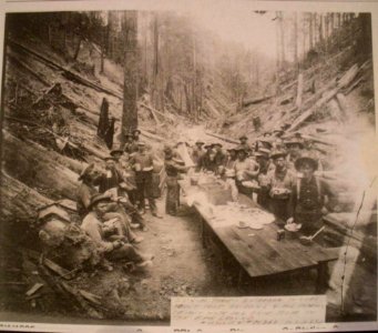 Lunch time in the Gualala woods of Mendocino County, about 1905