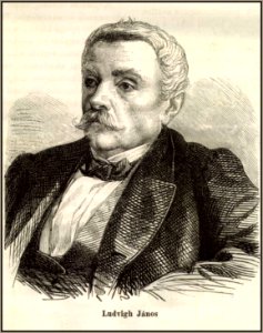 Ludvigh János, 1865