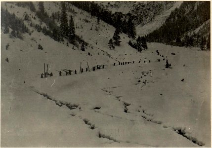 Luggauer Alm. Brettertransport der kriegsgefangenen Russen. (BildID 15471940)
