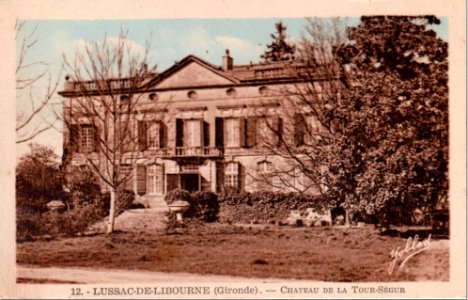 Lussac (Gironde) - château Latour 4