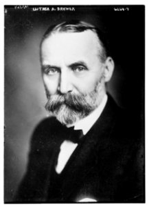 Luther A. Brewer LCCN2014717722