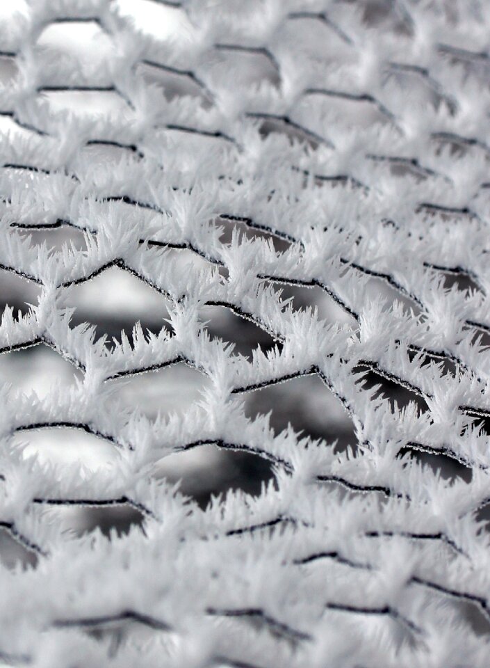 Frozen rime white photo